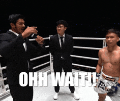 Muay Thai Gotcha GIF by Fight Record