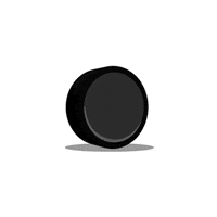 hockey nhl GIF by SportsManias hockey nhl GIF by SportsManias