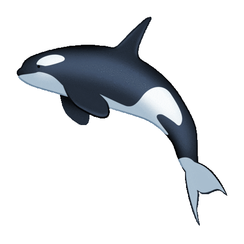 Whale Kiwi Sticker by Emotiki - The World's First Māori emoji app for iOS &  Android | GIPHY