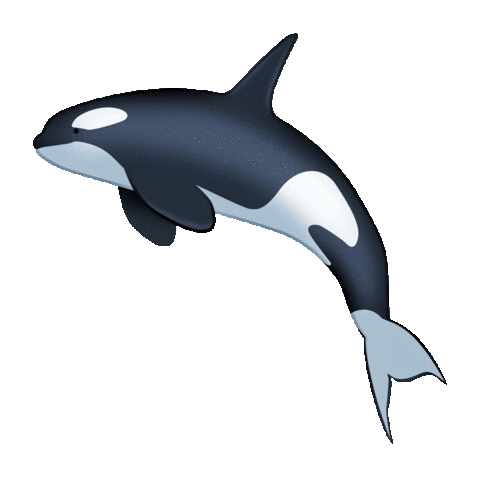 Whale Kiwi Sticker by Emotiki - The World's First Māori emoji app for iOS & Android | GIPHY Whale Kiwi Sticker by Emotiki - The World's First Māori emoji app for iOS & Android | GIPHY