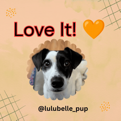 Love It Lulu GIF