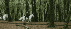 robin hood riding GIF by Signature Entertainment