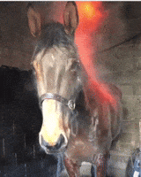 200.gif?cid=fc005b084efd79e4431173a5a6561f271a24e3da9cff7383&rid=200.gif&ct=g