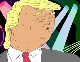 happy donald trump GIF by Cappa Video Productions