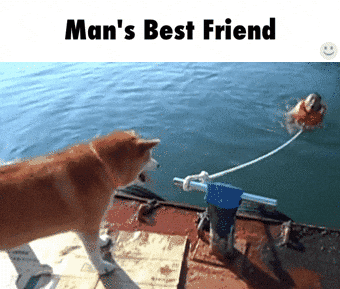 Dog Man & Friends GIFs on GIPHY - Be Animated