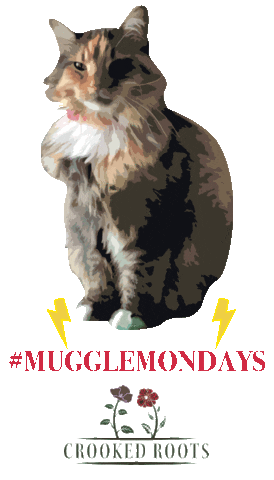 Crooked Roots Design Sticker