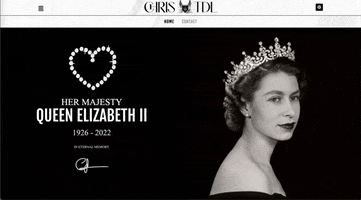 Chris TDL Organizations GIF