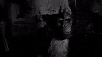 Horror GIF