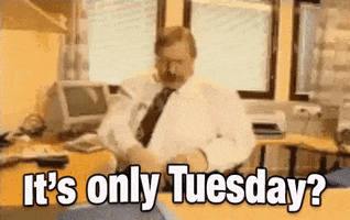 Tuesday Morning Reaction GIF by Justin