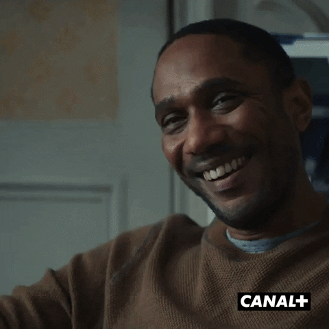Tv Show Laughing GIF by CANAL+