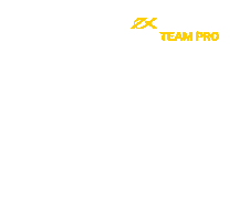 EXNESS Sticker