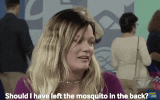 mosquito best moments GIF by ANTIQUES ROADSHOW | PBS