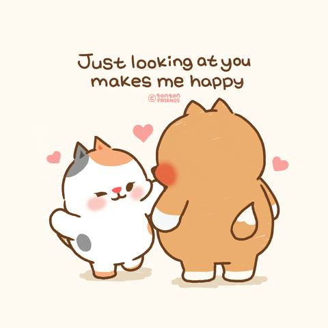 Kawaii gif. Chubby Yuta the shiba inu wags their tail as they look at their friend Bella the cat. Little hearts float above the pair. Text, "Just looking at you makes me happy!"