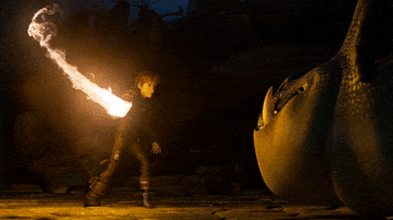 fire httyd 2 GIF by How To Train Your Dragon