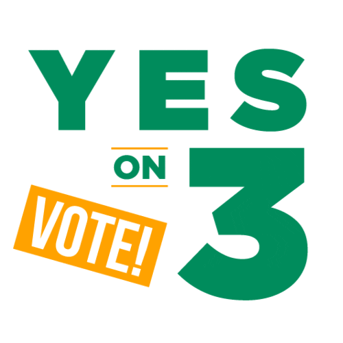vote yes GIF by Bare Tree Media