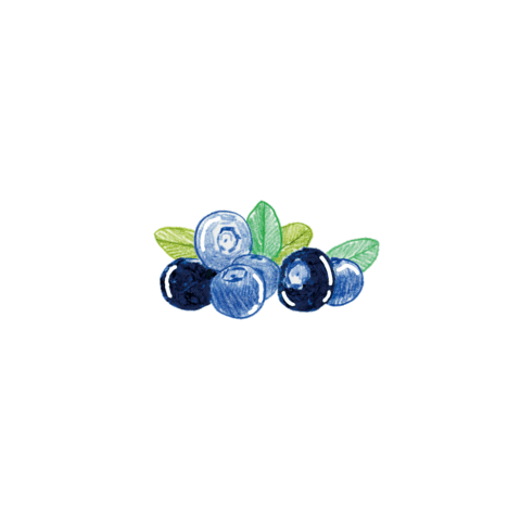 twosomeplace official Sticker