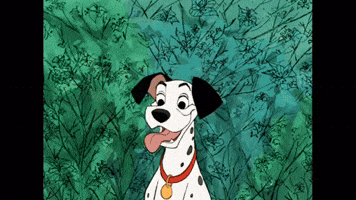Animation GIF