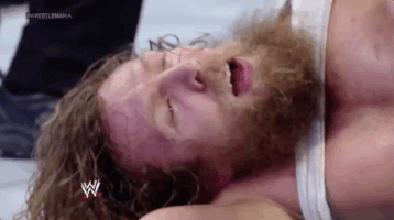 daniel bryan wrestling GIF by WWE
