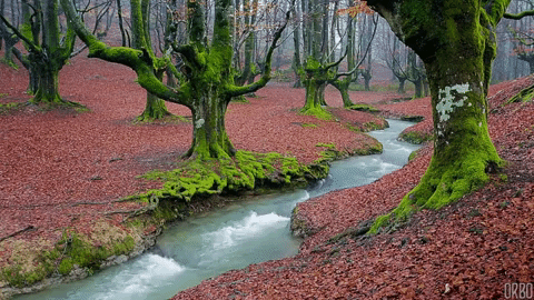 gorbea natural park in spain GIF
