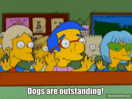 bw5kywtpbkbnbwfpbc5jb20 the simpsons dogs milhouse outstanding GIF