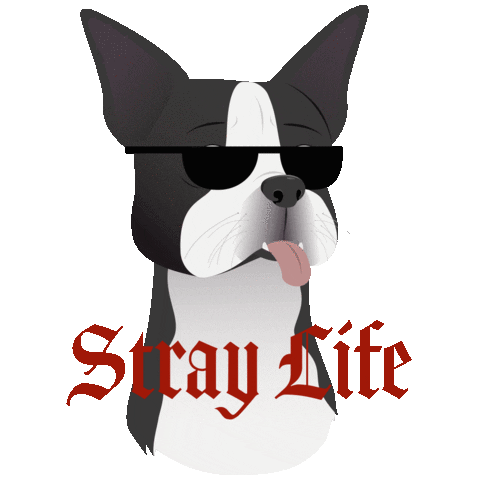 Will Ferrell Dog Sticker by Strays