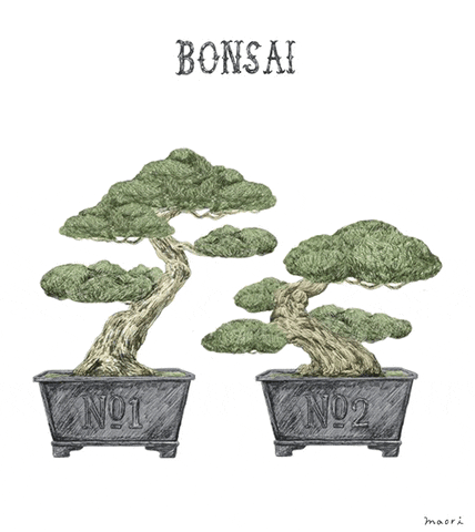 bonsai