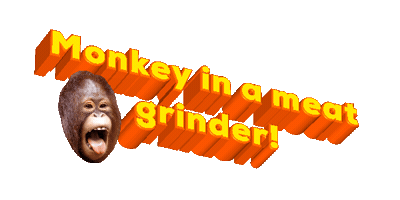 Monkey Sticker