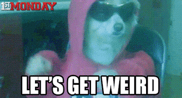 Party Hard GIF by FirstAndMonday