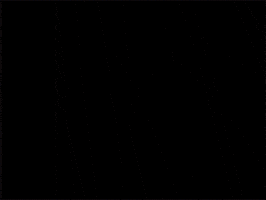 3D Spin GIF by Devon Stern