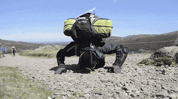 timbroddin spruit GIF