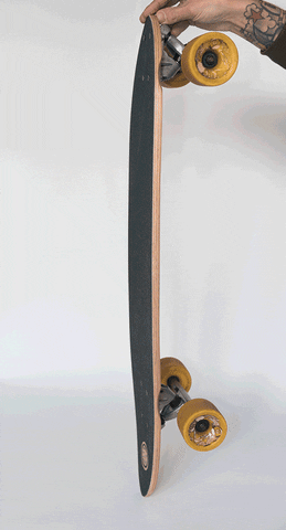 Skateboard Longboard GIF by michael tripolt / atzgerei