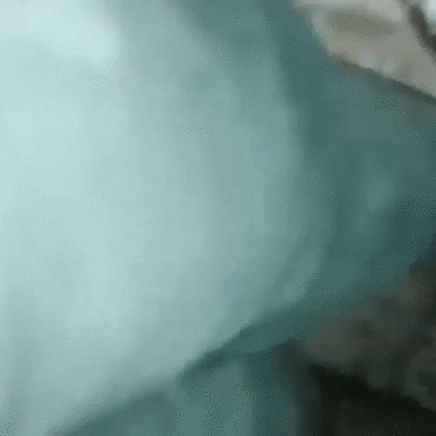 GIF by NowThisNewsTV