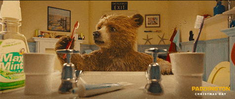 paddington bear animation GIF by The Weinstein Company