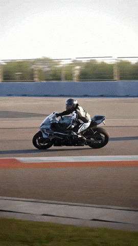 Scout GIF