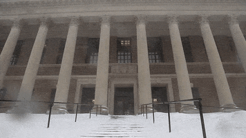 snow library GIF by Harvard University