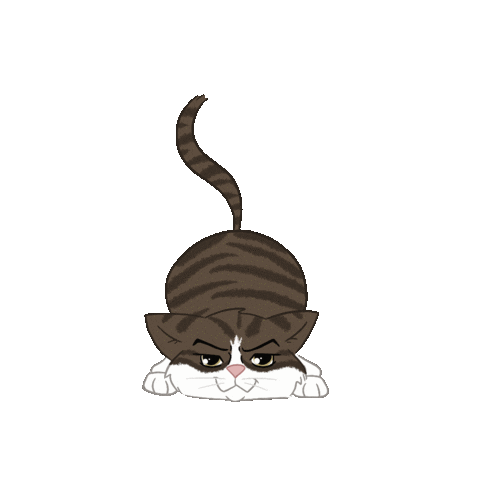 Cat Sticker
