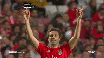 waving sl benfica GIF by Sport Lisboa e Benfica