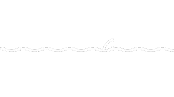 Blacktip Scuba Sticker
