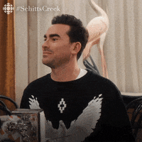 Oh No Please GIF by CBC