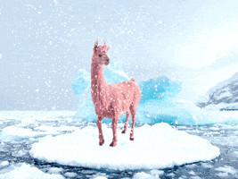 pink winter GIF by Jules Mumm