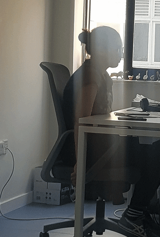 Fly Stretch GIF