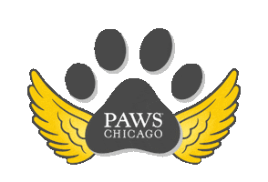 Angels With Tails Sticker by PAWS Chicago