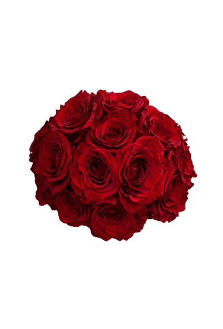 Rf Sticker by Rookery Flowers
