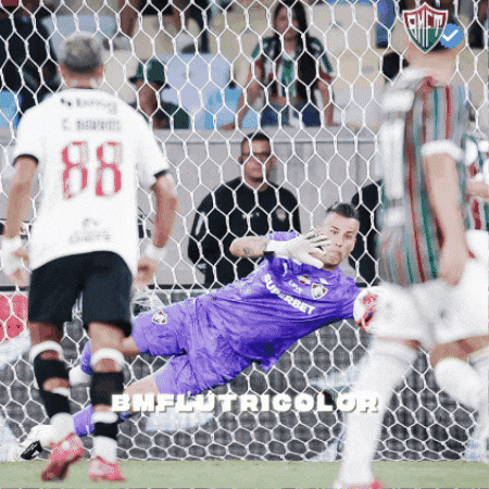 Fluminense GIF
