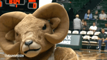 200.gif?cid=fc005b084404b1c45a9ede0b0528f11718ee96d1948419f3&rid=200.gif&ct=g