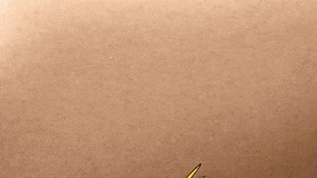 Animation GIF