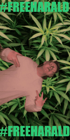 Weed GIF
