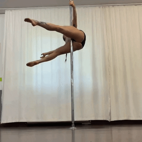 Pole GIF by Polearts