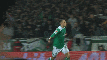 cheering celebrate GIF by SV Werder Bremen