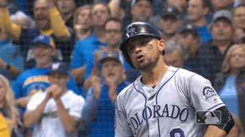 parra GIF by MLB